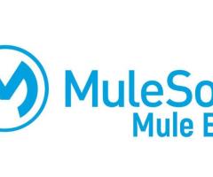 Mulesoft Online Coaching Classes In India, Hyderabad