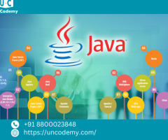 Java Genius: Unlocking the Secrets of Software Development