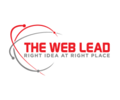 The Web Lead - Best SEO Services in India
