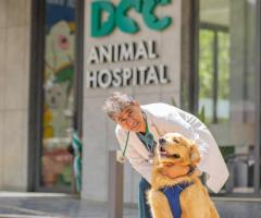 DCC Animal Hospital - Best Pet Clinic in Delhi, Gurgaon Sec 23 A & Noida Sec 50