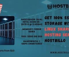 Get 100% SSD Storage With USA Linux Shared Hosting Servers: Hostbillo