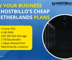 Grow Your Business with Hostbillo's Cheap VPS Netherlands Plans