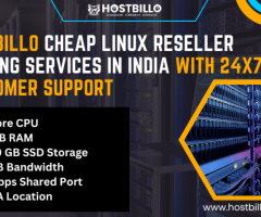Hostbillo Cheap Linux Reseller Hosting Services In India With 24x7 Customer Support