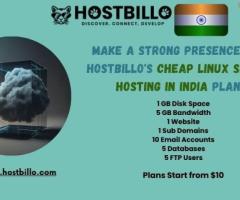 Make a Strong Presence With Hostbillo's Cheap Linux Shared Hosting in India Plans