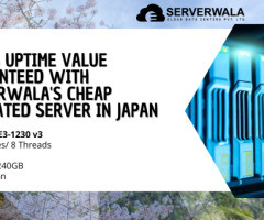 99.90% Uptime Value Guaranteed with Serverwala's Cheap Dedicated Server in Japan