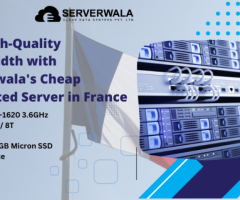 Get High-Quality Bandwidth with Serverwala's Cheap Dedicated Server in France