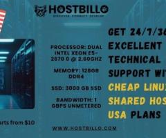 Get 24/7/365 Excellent Technical Support With Cheap Linux Shared Hosting in USA plans