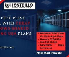 Get a Free Plesk Panel With Cheap Windows Shared Hosting USA Plans