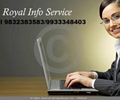 Royal Info Service Offered