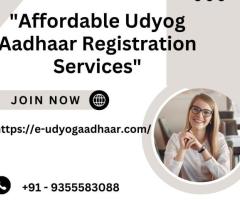 "Affordable Udyog Aadhaar Registration Services"