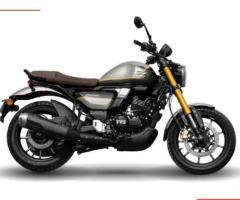 TVS Ronin 225 Motorcycle Overview