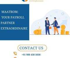 Extraordinaire Payroll Management in Chennai