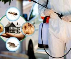 Reliable Pest Control in Abu Dhabi: Fast, Safe, and Affordable!