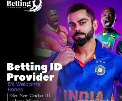 How Do Online Betting ID Providers Ensure Security?