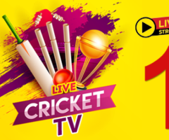 CricSportz: Your Go-To Cricket Streaming API Provider