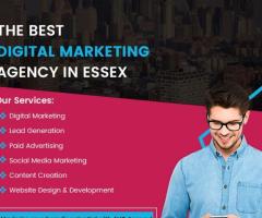 Digital Marketing Agency in Essex | AVOAgency.co.uk