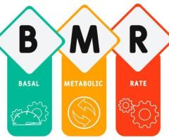 Fuel Your Body Right: The Essential BMR Calculator You Need Today