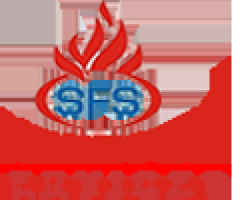 Manufacturer of all Type of Fire Extinguisher Spare - Shree Fire Services