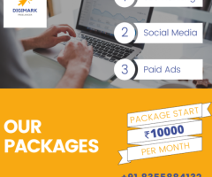 Digital Marketing Freelancer In Mumbai | Package 10k/mo | Digital Siddhi