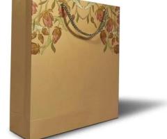 Paper Carry Bag Manufacturers from Ansh Print and Packaging