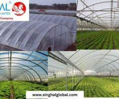 Plastic Film Greenhouse: An Efficient and Cost-Effective Solution