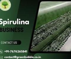 Spirulina Farming Business | Spirulina Industry Trends & Insights