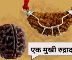 Ek Mukhi Rudraksha Ke Fayde: Unlock Spiritual and Financial Growth