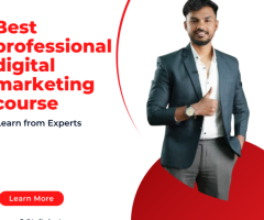 Best professional digital marketing course– Learn from Experts