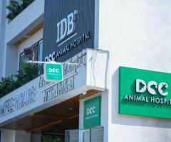 Best Vet in Jaipur - DCC Animal Hospita