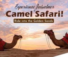 Experience the Best Camel Safari in Jaisalmer