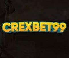 Welcome to CricBet99: Your Premier Cricket Betting Hub