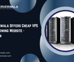 Serverwala Offers cheap VPS for Growing Website - Belgium