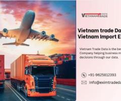 Vietnam AUTO LEVEL imports data 2024 |