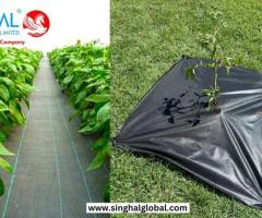 Weed Mats: A Sustainable Solution for Weed Control