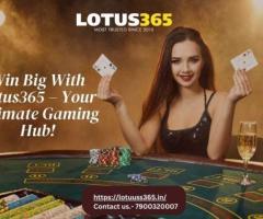 Win Big With Lotus365 – Your Ultimate Gaming Hub!