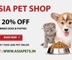 Dog For Sale in Delhi