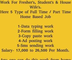 Part Time Data Entry Work For Fresher’s and students