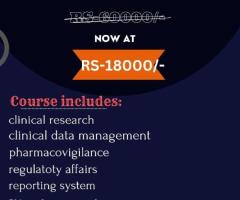 pharmacovigilance training with placements